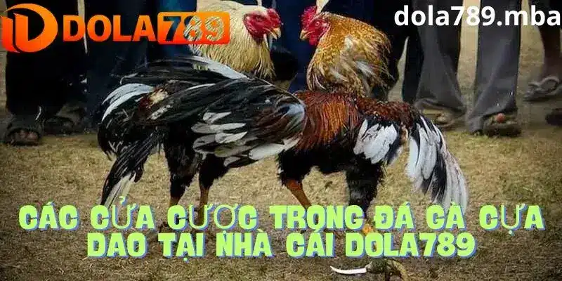 Các cửa cược trong đá gà trực tuyến tại Dola789