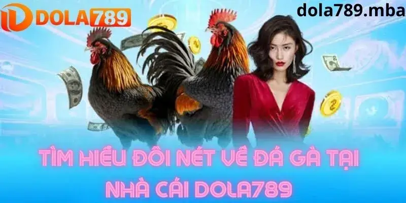 Tìm hiểu về đá gà trực tuyến nhà cái dola789