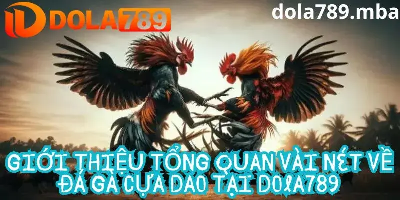 Giới thiệu đôi nét về đá gà cựa dao tại Dola789