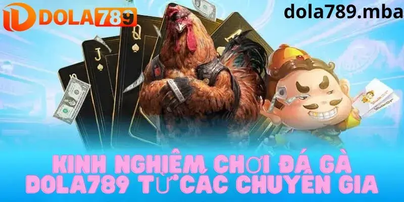 Kinh nghiệm chơi đá gà trực tuyến từ chuyên gia