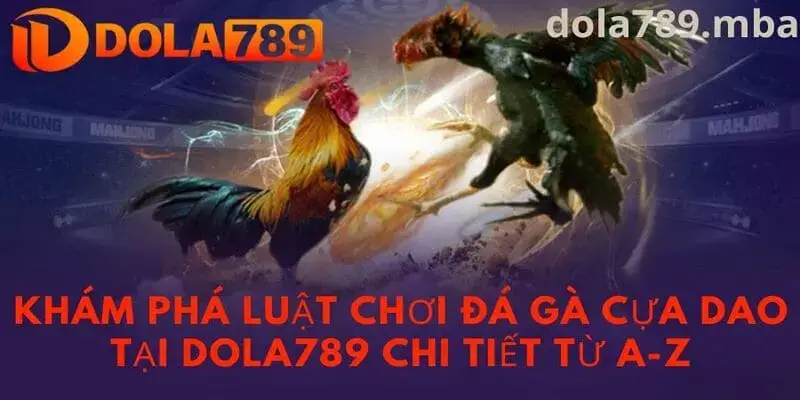 Luật chơi đá gà trực tuyến tại nhà cái Dola789