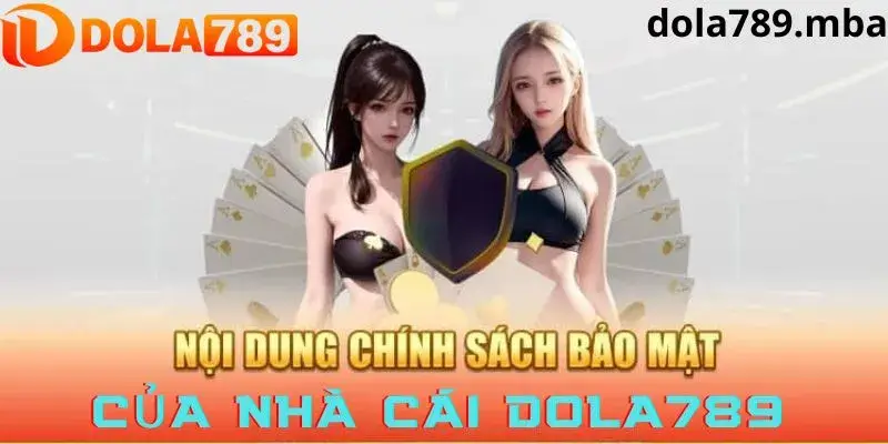 Tổng hợp về nội dung chính sách bảo mật nhà cái Dola789